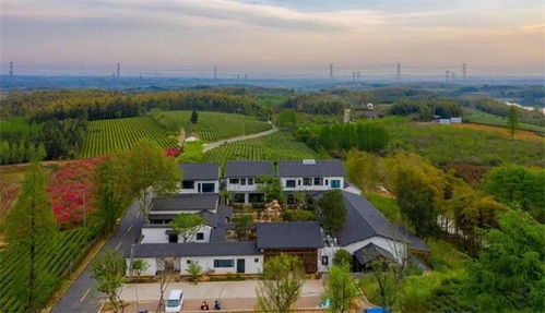 茶香四溢，乡情满路——两条精品茶旅线路入选“乡村四时好风光”全国乡村旅游线路