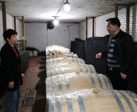 构建五大体系，打造精品休闲农业与乡村旅游项目