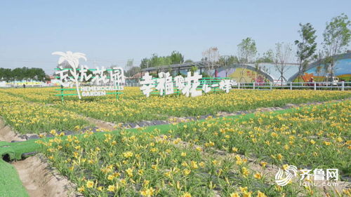 临邑 开发特色深度乡村旅游产品，激发文旅新活力