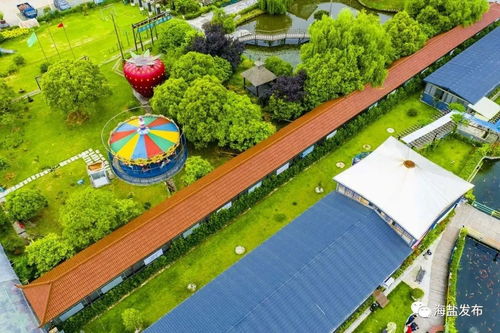 美海盐乡村旅游精品线荣登省级榜单，绘就诗画田园新篇章