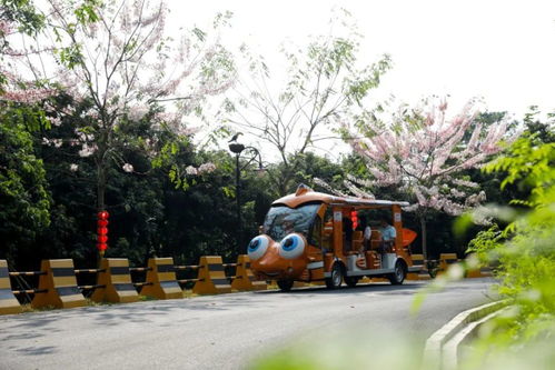 增城入选第三批广东省文化和旅游特色村，乡村旅游精品线路全新出炉
